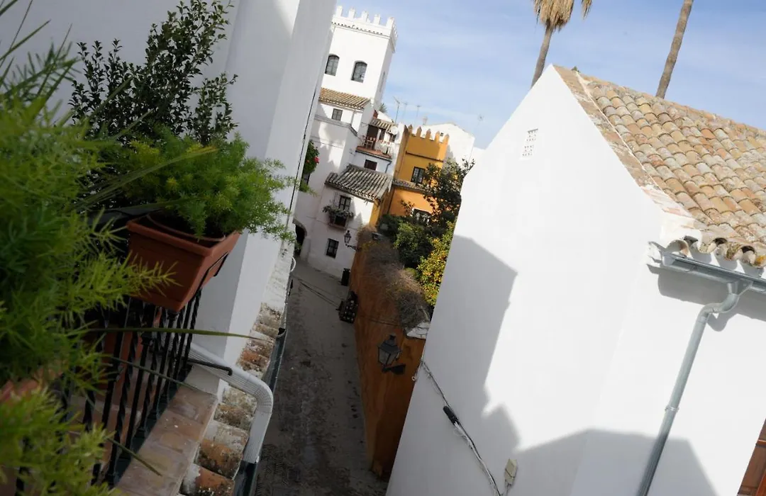 The Wall Of The Alcazar Palace-1