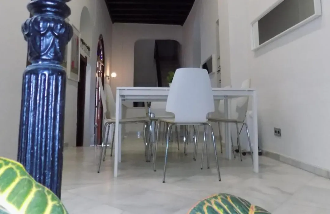 Residencia Viriato-1