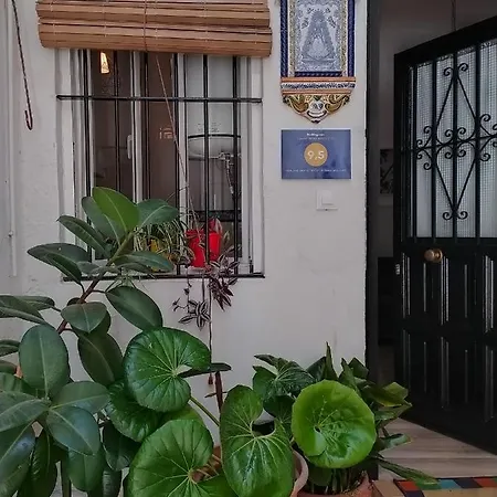 Ideal Apartamento Tipo Loft En Triana Sevilla Wifi-2