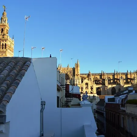 Stunning Attic With Private Terrace And Parking Optional-2