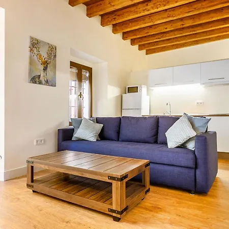 Stunning Apartment In Central Seville-2