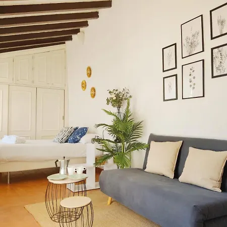 Stunning Attic With Private Terrace And Parking Optional-3