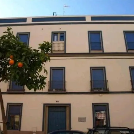 Triana 143 - Wifi-2