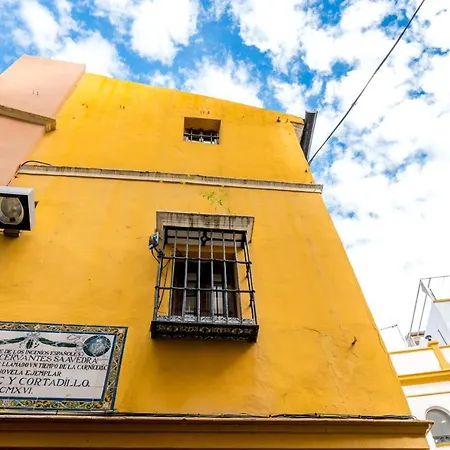 Casa Ispal Alfalfa-2