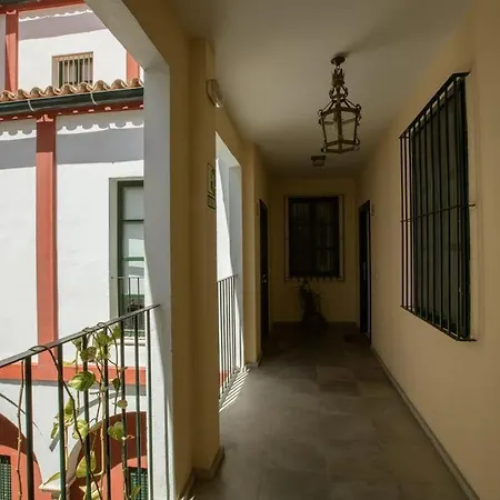 Vidrio Sevilla Deluxe Apartment-3