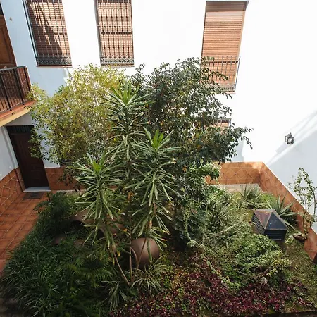 Requena Suite Apartment-2