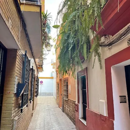 Barrio de Santa Cruz, La Judería. Zona Inmejorable-2