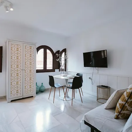 Complete Studio With Terrace - 1Bth- La Giralda-2