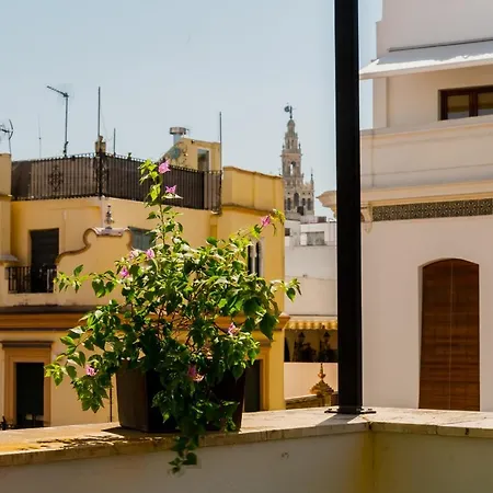 Anfitrion Sevilla-2