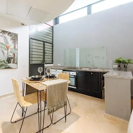Conde De Ibarra Suite Apartment-3