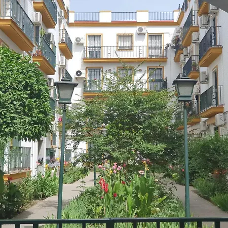 Nool Sevilla-3