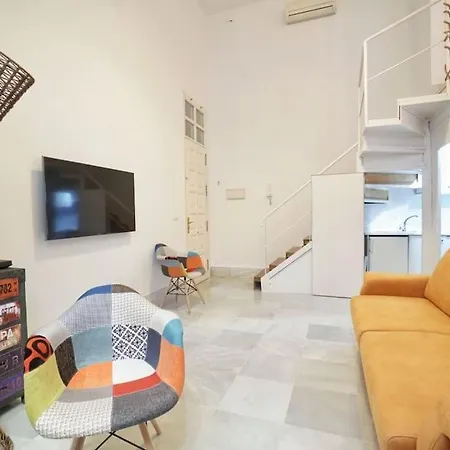 Optimus Duplex Loft-2
