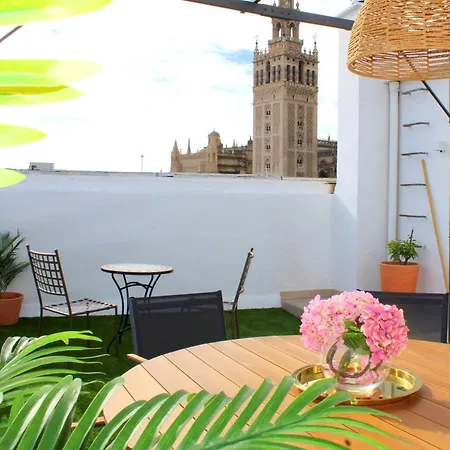 Terraza Catedral Olehousing-3