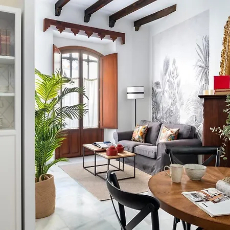 Hernando Colón Suite Apartments-3