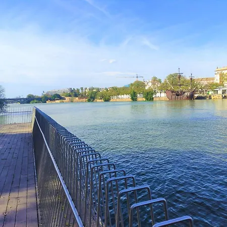 Vive Triana-3