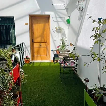 Penthouse At City Center With Terrace-3