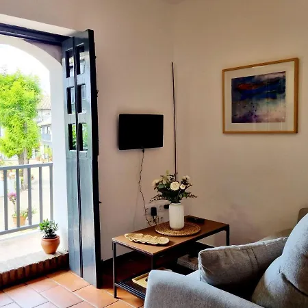 Apartamento con Patio Sevillano-2