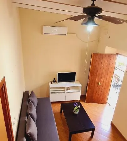 Magnifico Apartamento tipo Dúplex en Triana-3