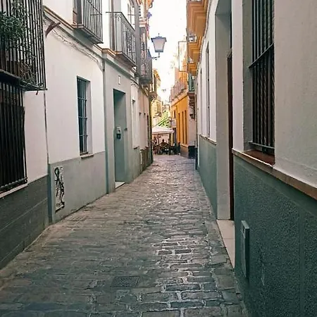 RentalSevilla Tintes-3