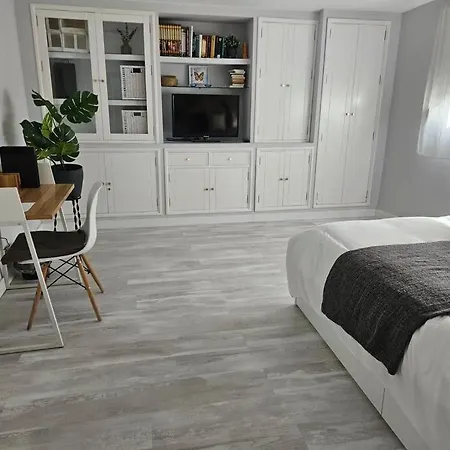 Increíble Apartamento de lujo en Triana-2