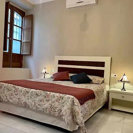 Acogedor loft+parking junto a Catedral-3