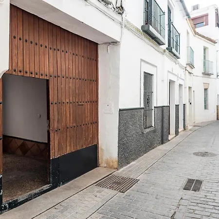 Flipanddo Triana-3