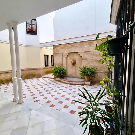 Estudio San Esteban-3