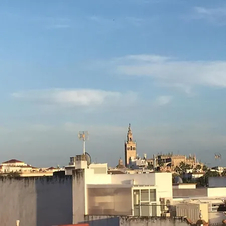 Esencia Triana-3