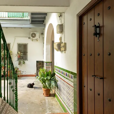 Modern Spacious Apartment Central Of Seville-2