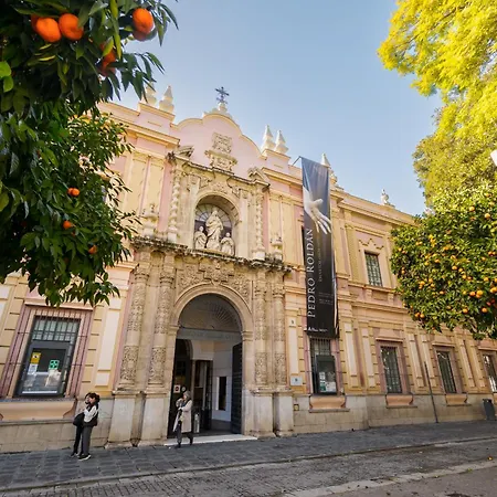 Fantástico 2h+1b Plaza del Museo-2