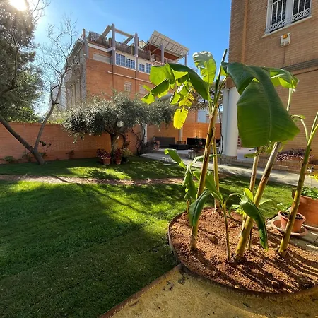 El Jardin de la Palmera-Ducha solar!-3