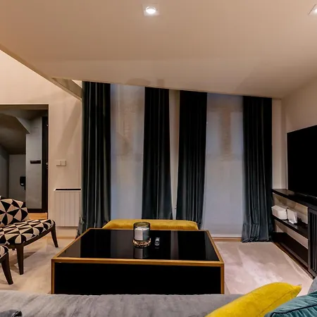 Luxury Loft En El Centro-3