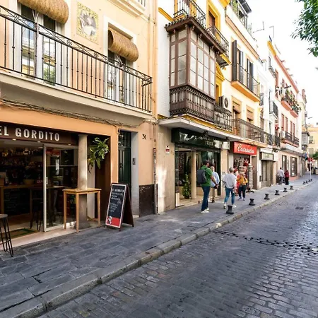 Cse Garcia De Vinuesa-2