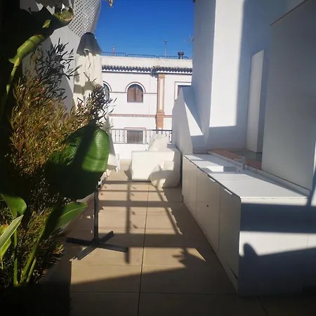 Duplex Luxury Giralda With Terrace-2