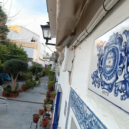 Típico y pintoresco patio de vecinos, con encanto-3