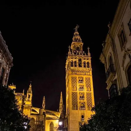 Casa con piscina junto catedral de sevilla-3