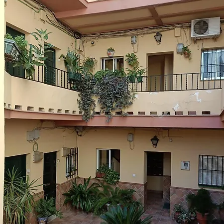 Triana Stay-2