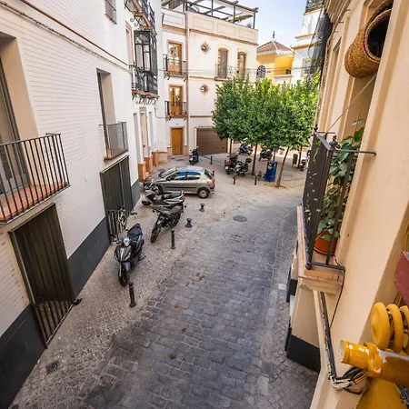 Private House Cathedral Terrace-2