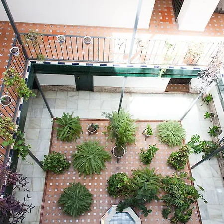 Gotoseville Sierpes Suite-3