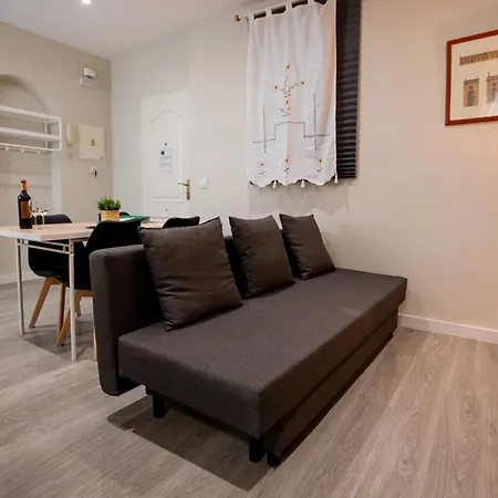 Apartamentos Dona Concha-3