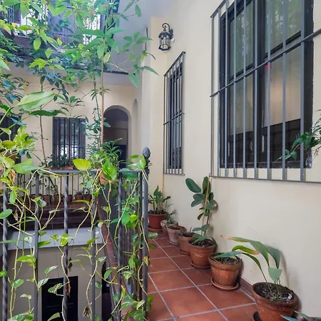 Plaza San Marcos Apartment-3