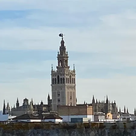 Atico Caleria Con Vistas A La Giralda-3
