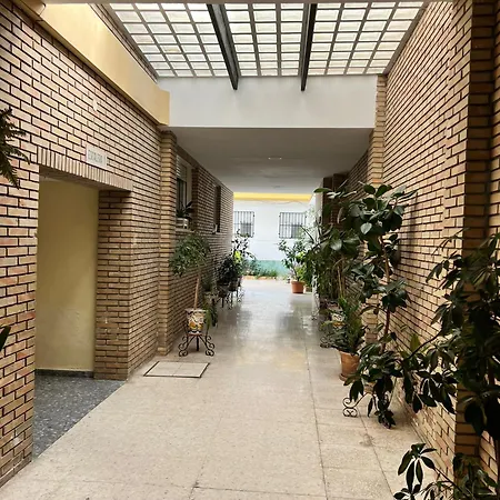 Rodrigo-2