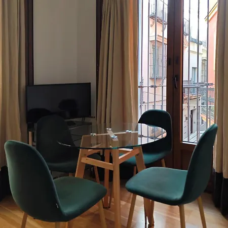 Luxury Apartment Seville Center-2