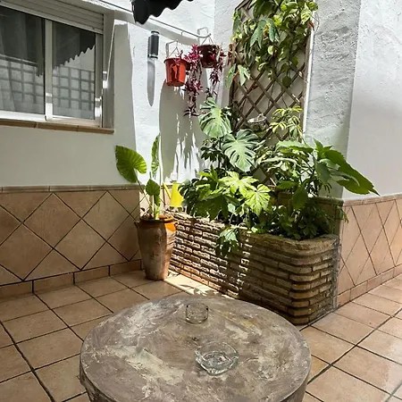 Panther Home Pureza-3