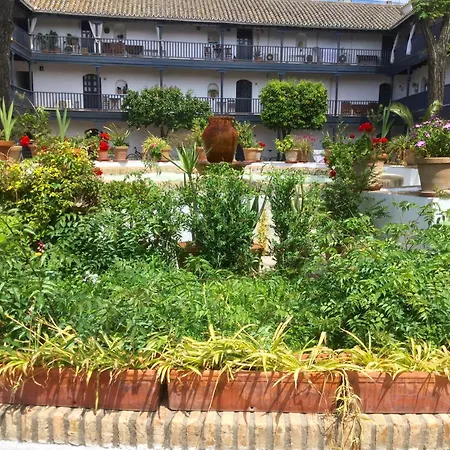 Andalusian Courtyard-3