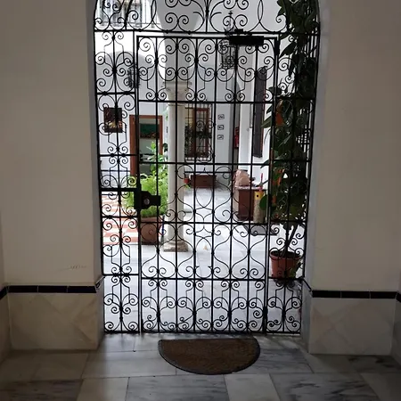 Patio Sevillano Flores-2