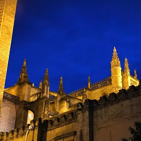 Antigua Cesteria-2