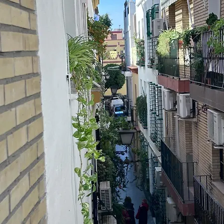 Arco MacarenA-3