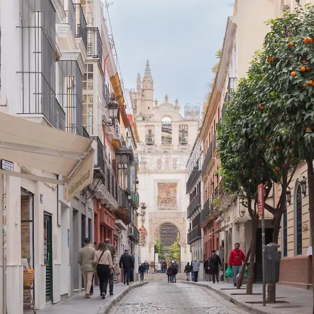 Lujoso Apartamento En Casco Antiguo De Sevilla-2